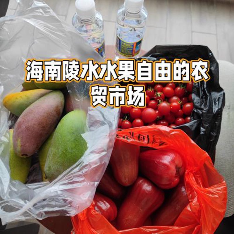 海口商贸公司的市场动态